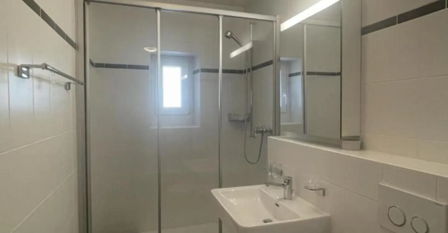 LARGE 2.5 ROOM FURNISHED APARTMENT WITH LAKE VIEW - Photo 3 of 6