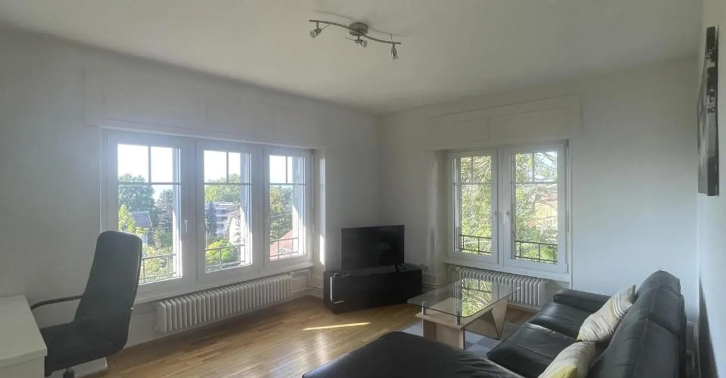 LARGE 2.5 ROOM FURNISHED APARTMENT WITH LAKE VIEW - Photo 1 of 6