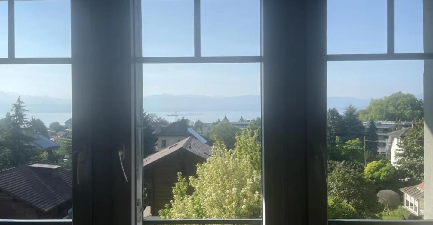 LARGE 2.5 ROOM FURNISHED APARTMENT WITH LAKE VIEW - Photo 2 of 6