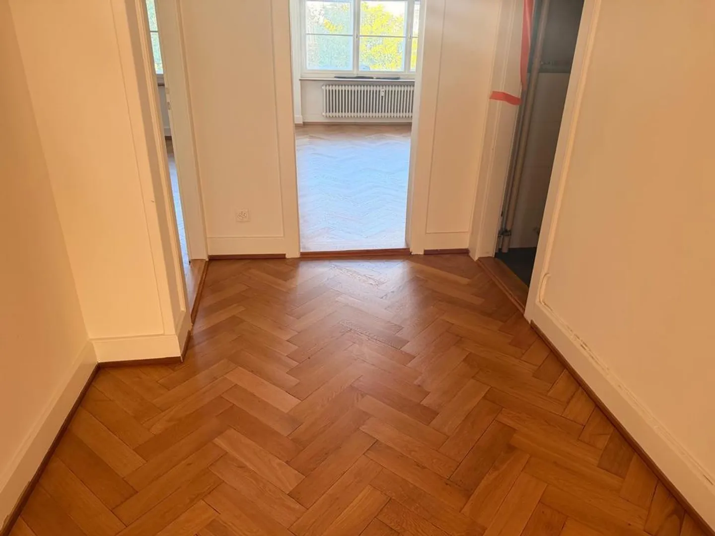 Charming old-style apartment near Basel city center and university - Photo 3 of 10