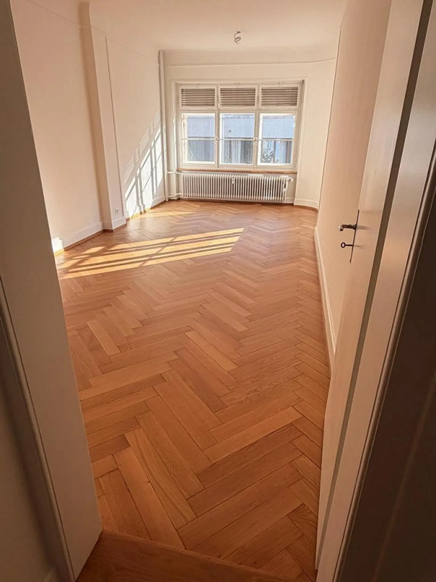 Charming old-style apartment near Basel city center and university - Photo 4 of 10