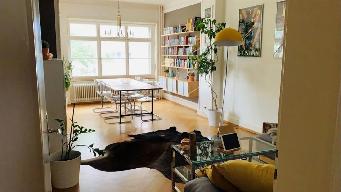 Charming old-style apartment near Basel city center and university - Photo 8 of 10