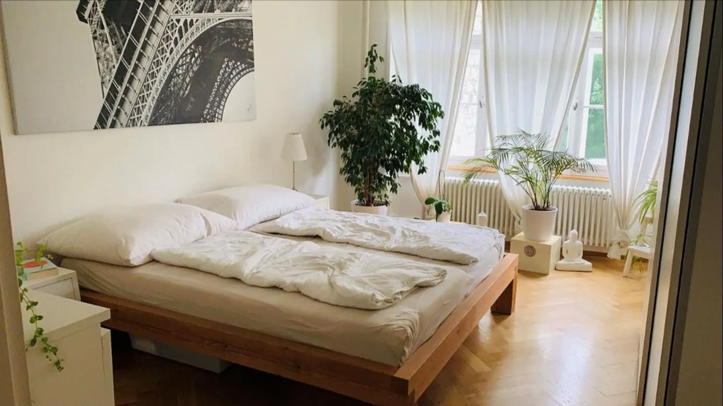Charming old-style apartment near Basel city center and university - Photo 10 of 10