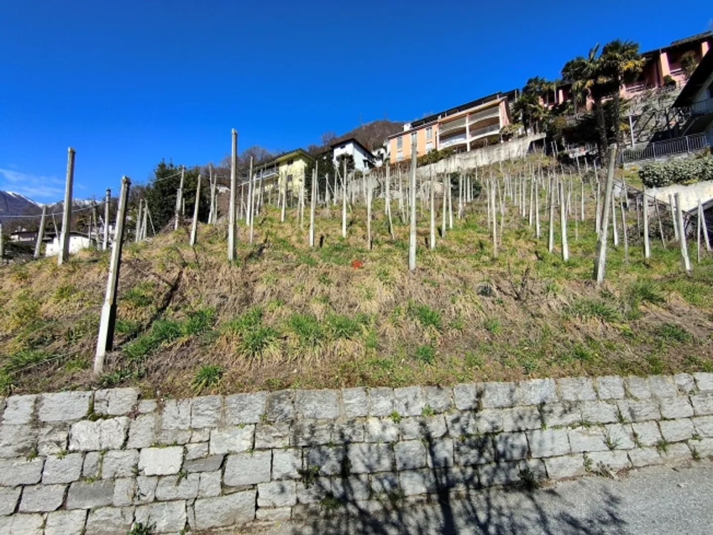 Traumlage m. Seeblick am Sonnenhang - Foto 5 von 12