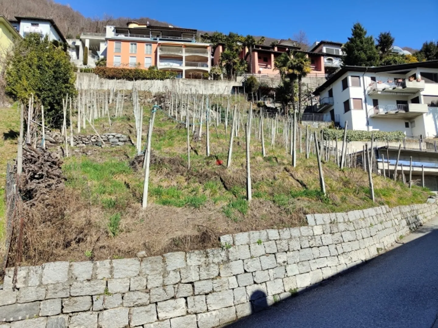 Traumlage m. Seeblick am Sonnenhang - Foto 6 von 12