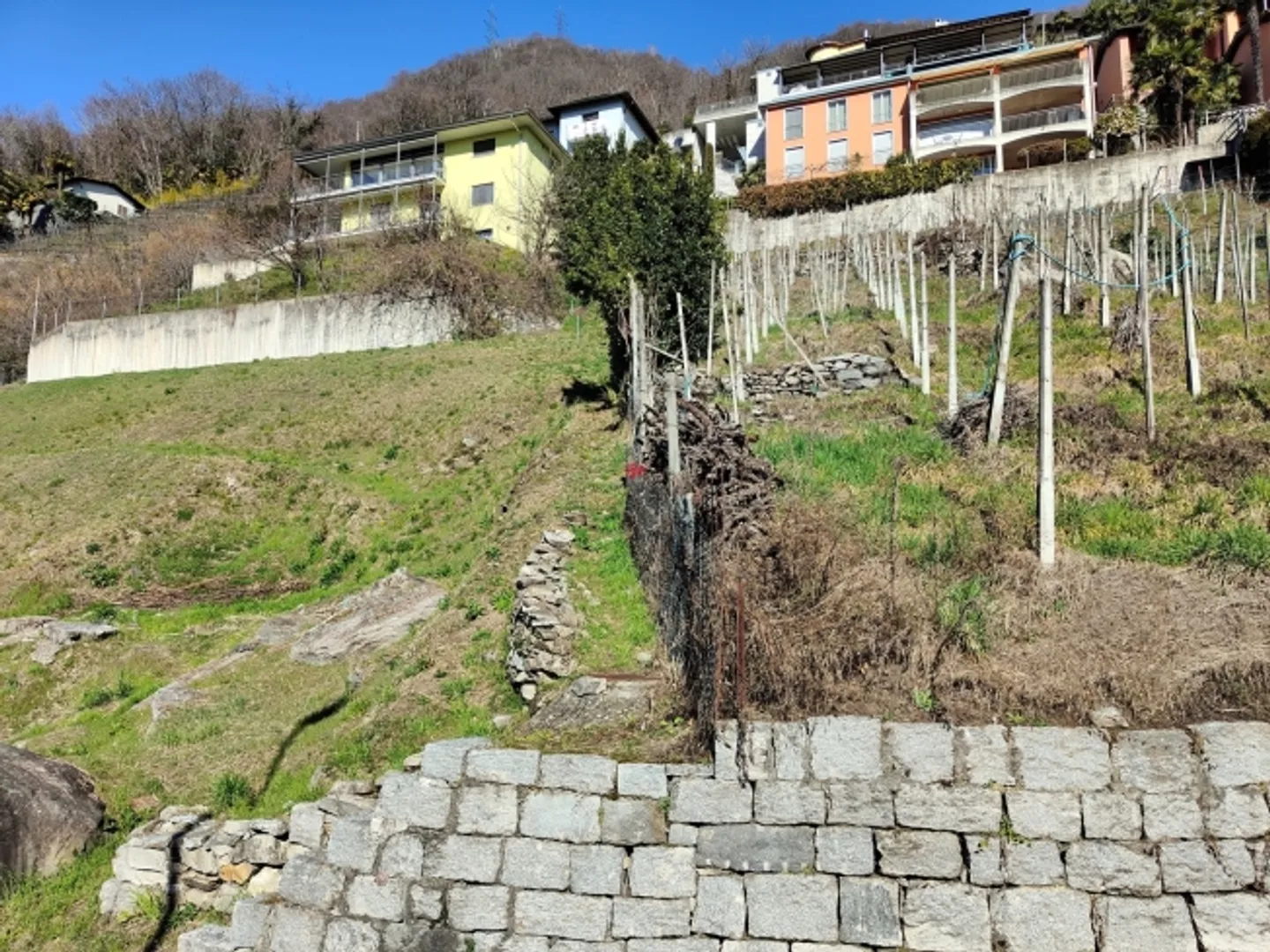 Traumlage m. Seeblick am Sonnenhang - Foto 9 von 12