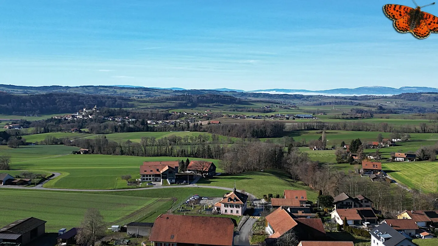 Helle 2,5 Zimmer mit großem Westbalkon! - Foto 7 von 8