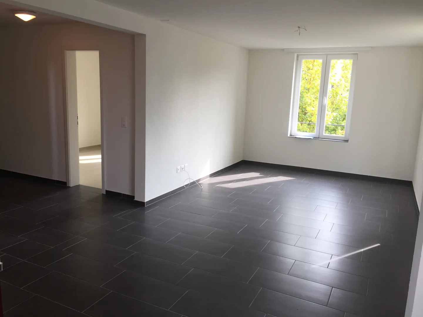 Charming 3.5-Room Apartment - Photo 2 of 10