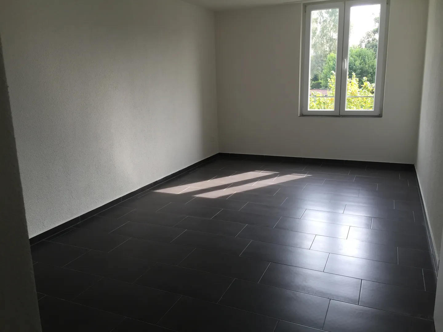 Charming 3.5-Room Apartment - Photo 4 of 10