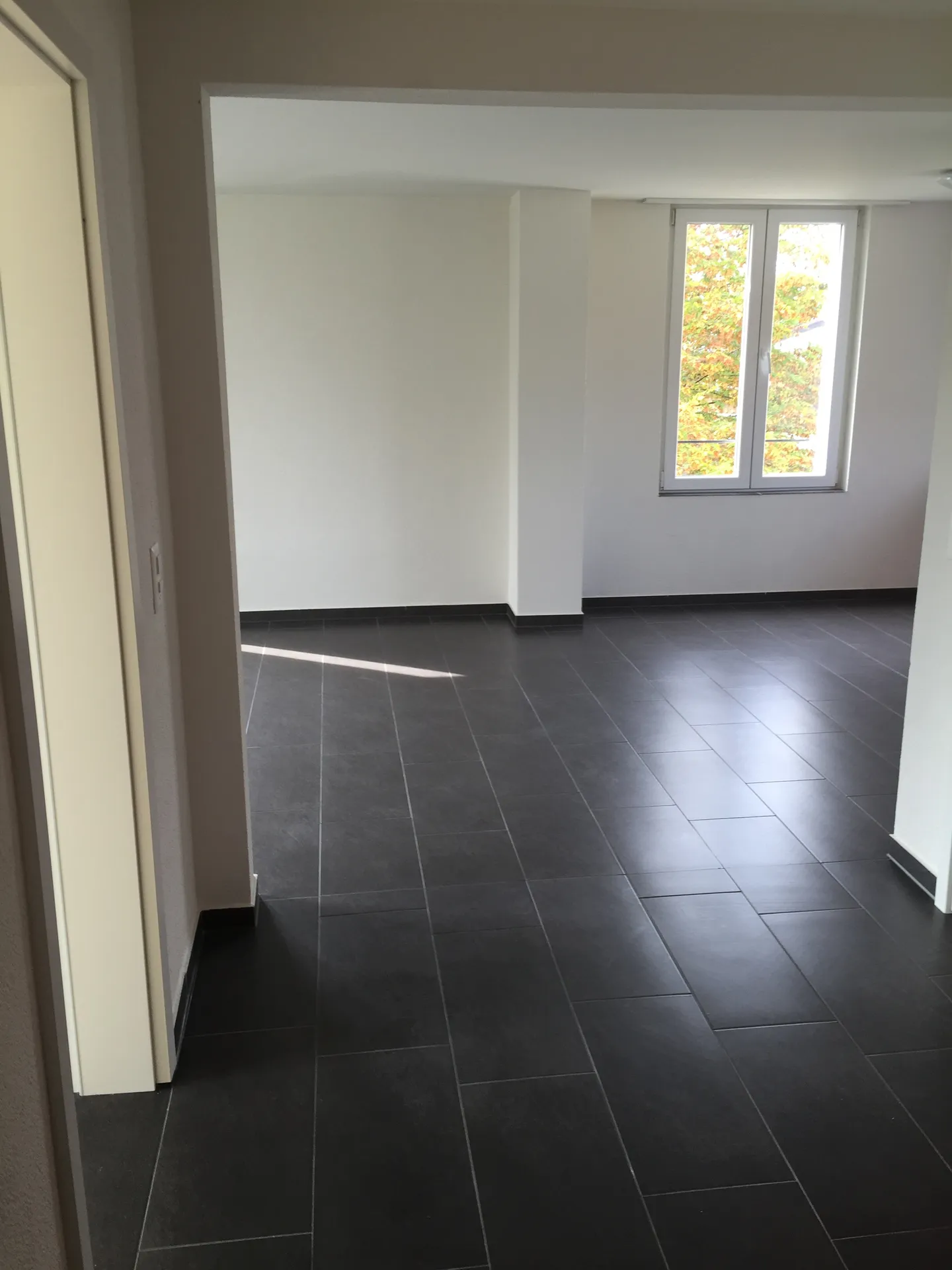 Charming 3.5-Room Apartment - Photo 5 of 10