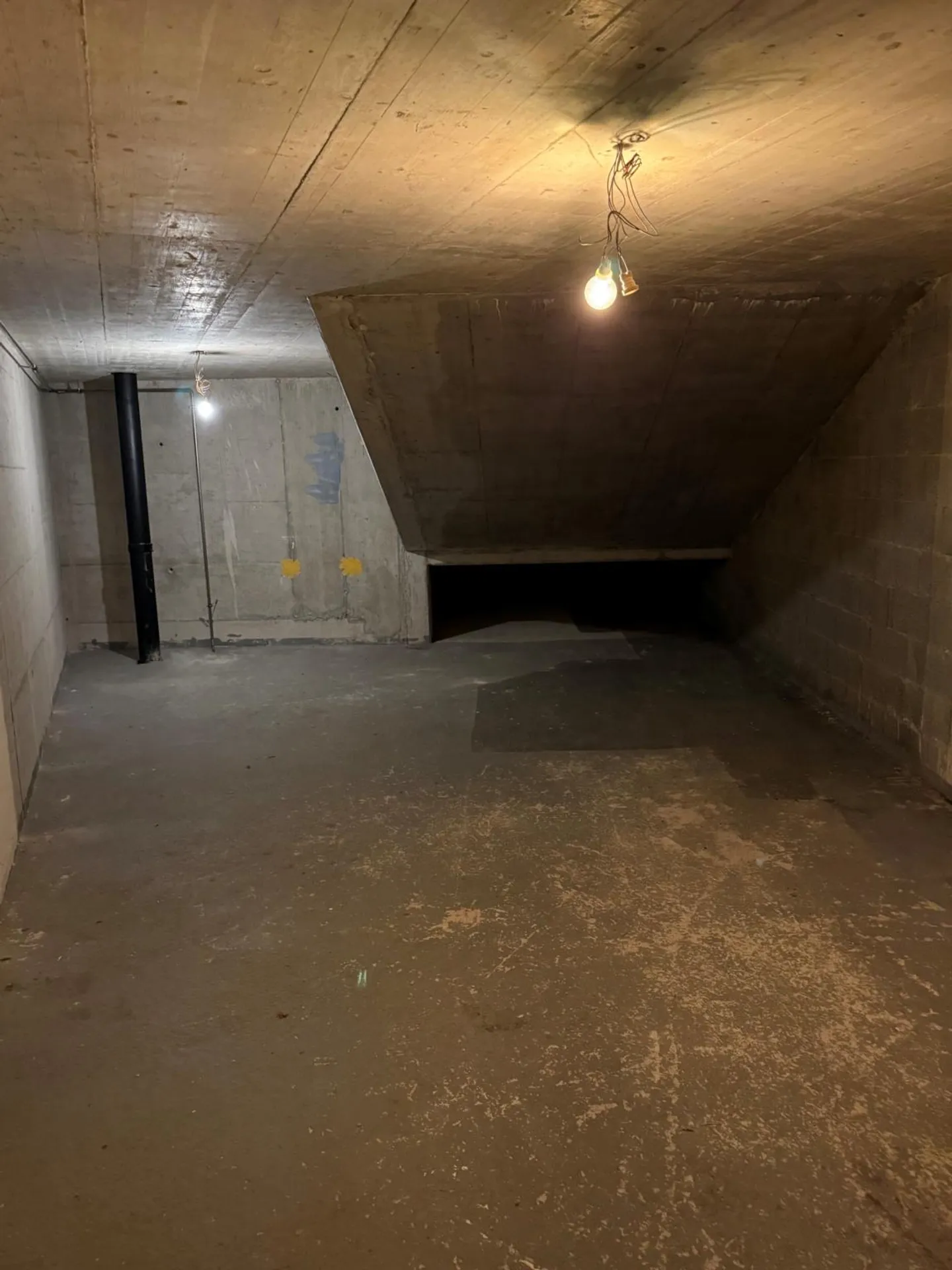 GRANDE DEPOSITO IN AFFITTO NEL CUORE DI VERSOIX - Foto 2 di 4