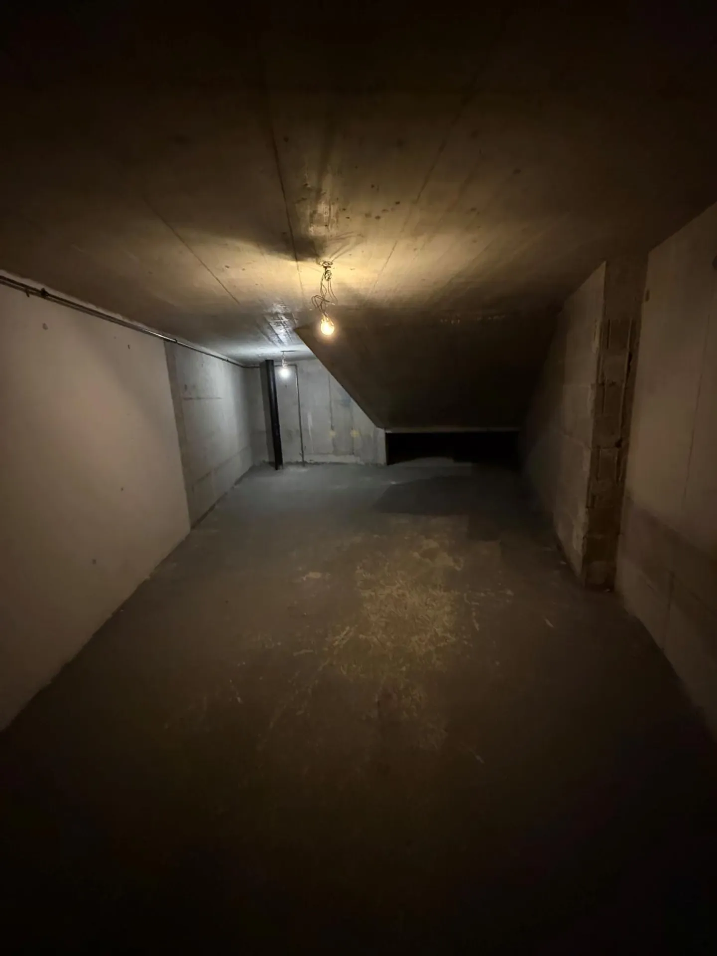 GRANDE DEPOSITO IN AFFITTO NEL CUORE DI VERSOIX - Foto 4 di 4