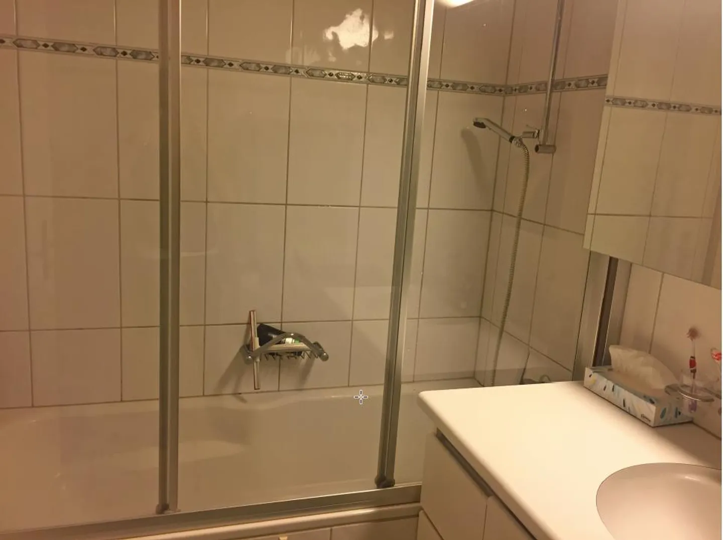 2.5 Zimmerwohnung für Einzelperson mit Seeblick im Walchwil - Foto 6 von 7