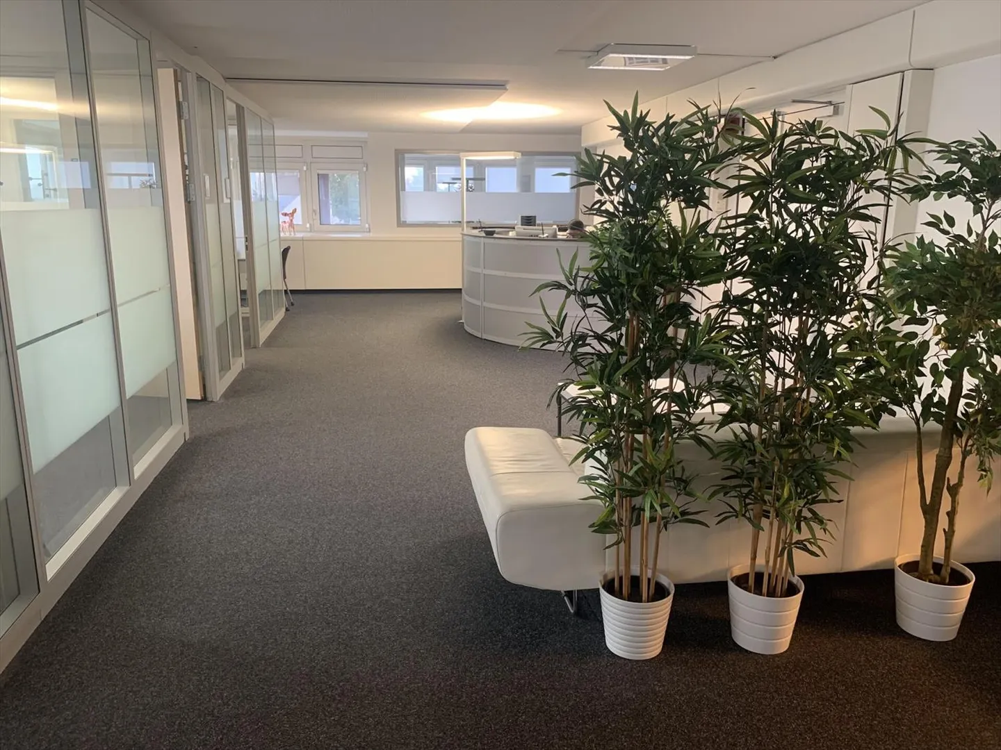 Vaud Büros verfügbar 217 m2, zahlreiche Parkplätze und Autobahnzugang - Foto 1 von 10