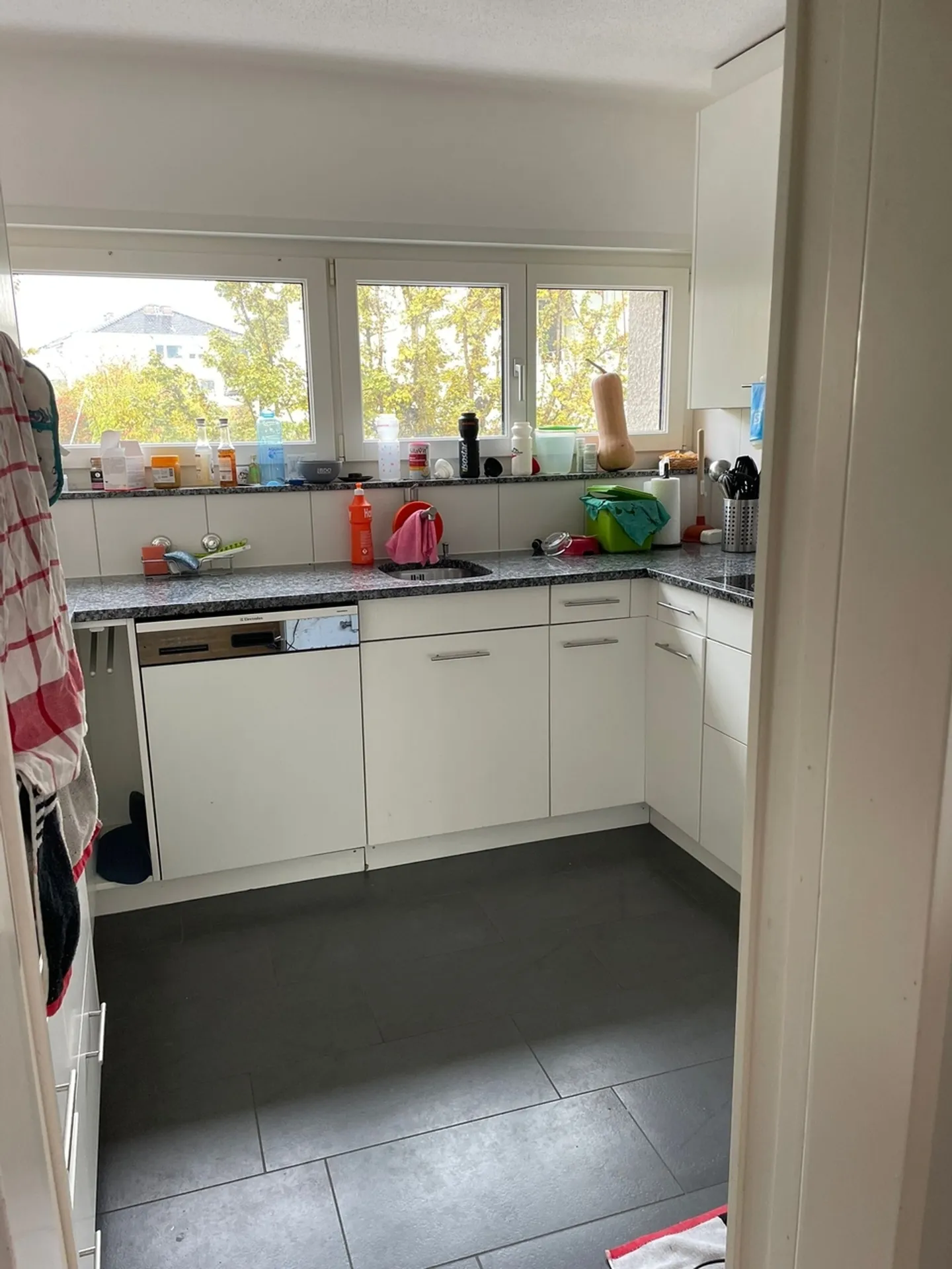 Casa a schiera spaziosa a Münsingen - Foto 5 di 12