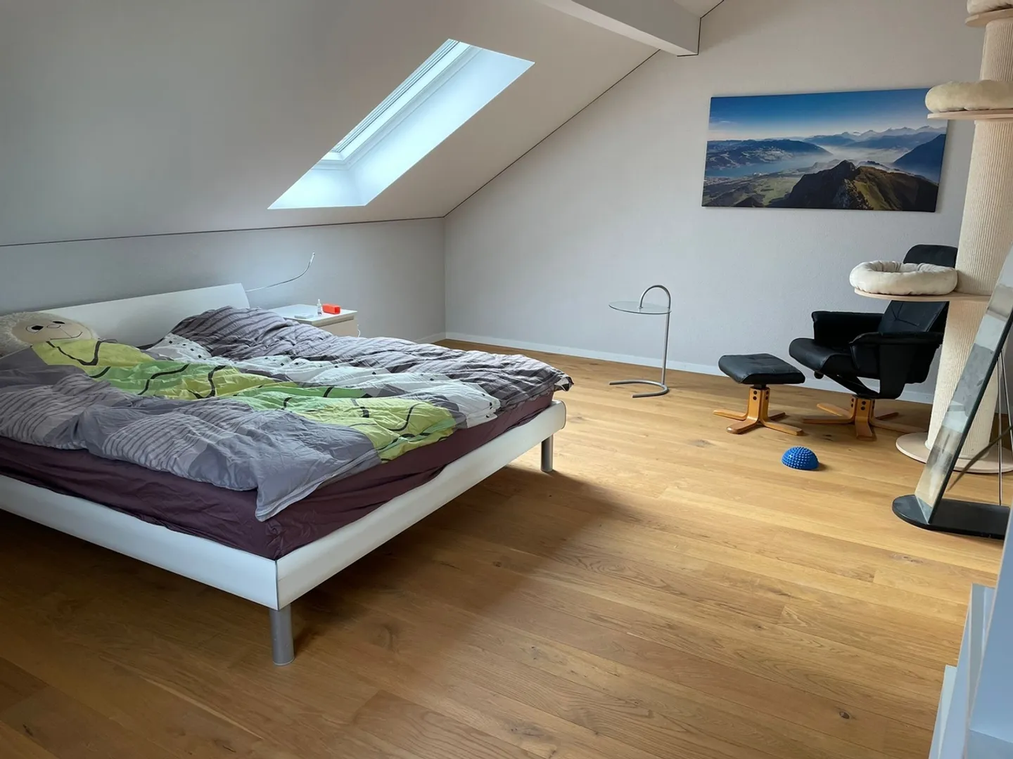 Casa a schiera spaziosa a Münsingen - Foto 6 di 12