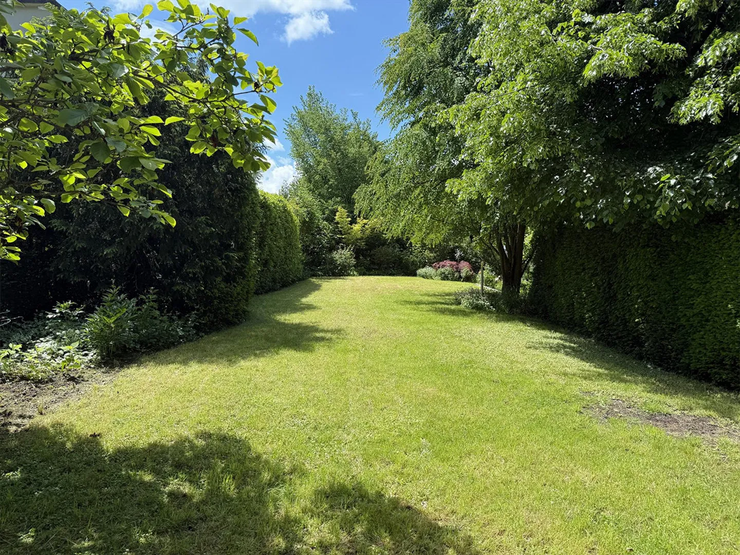 Charmantes Reihenhaus mit Garten - Foto 3 von 14