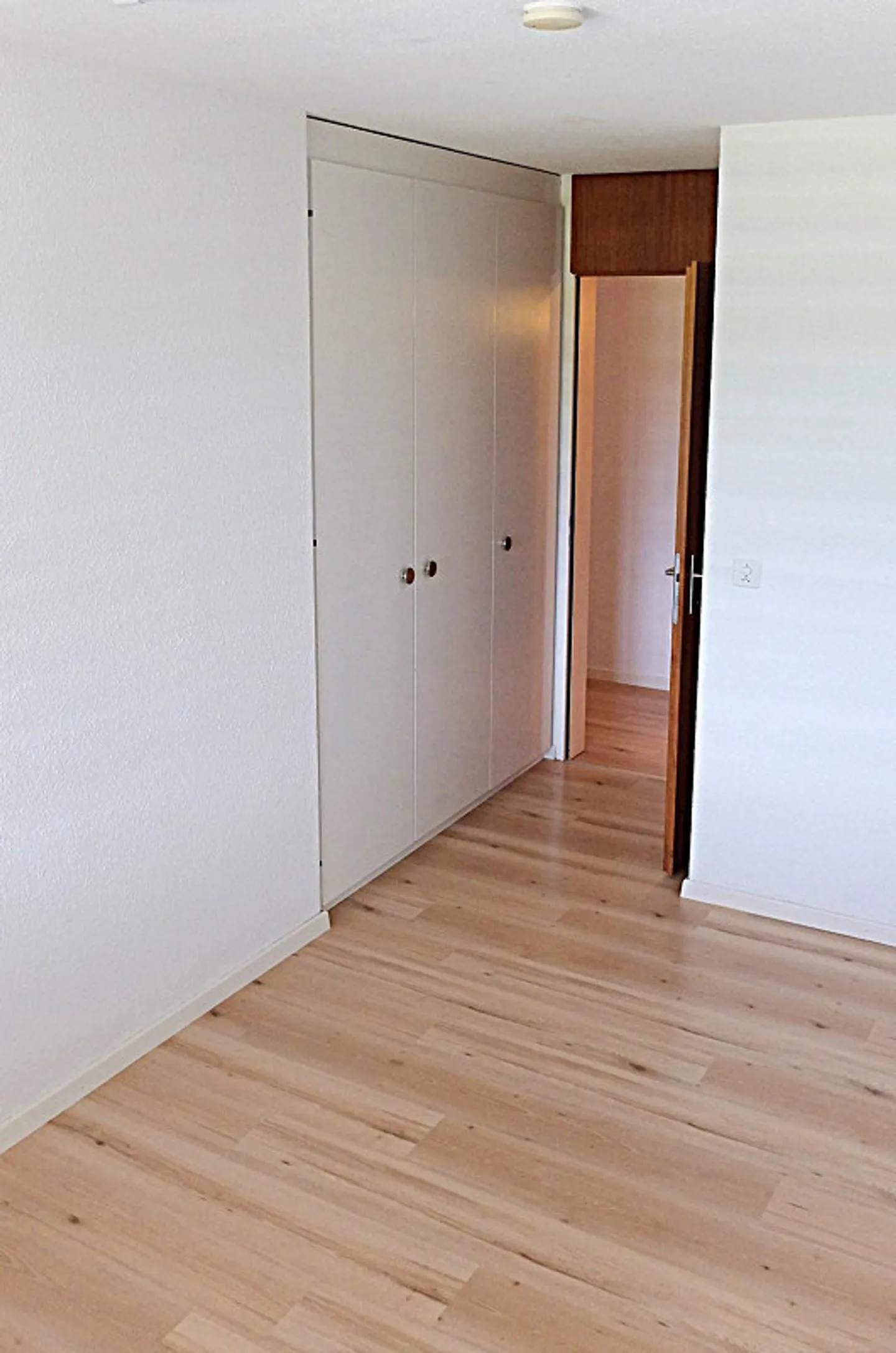 4 1/2-Room Apartment, Ground Floor with Terrace - Photo 9 of 10