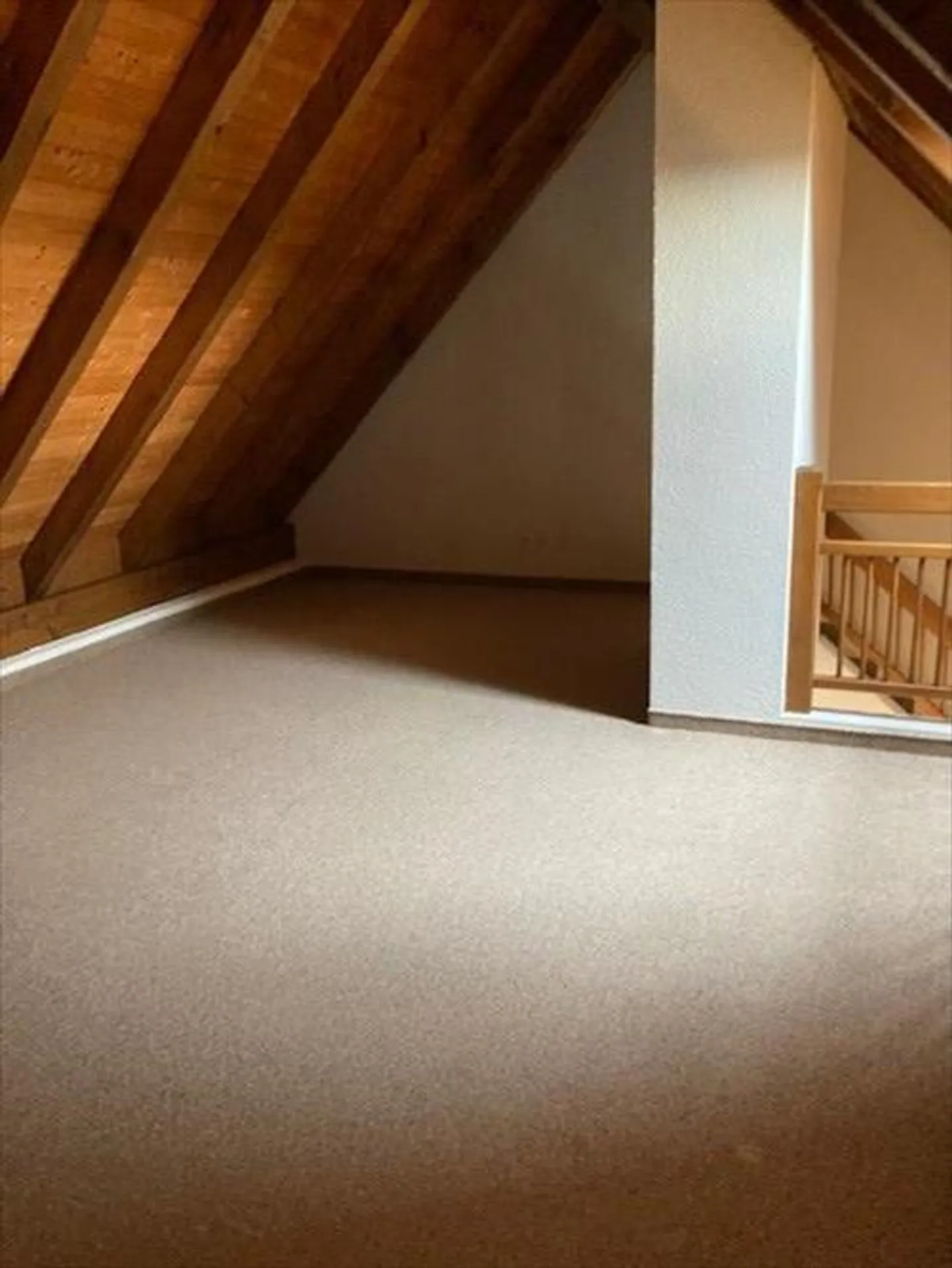 Qui troverai di più per meno! - Foto 7 di 9