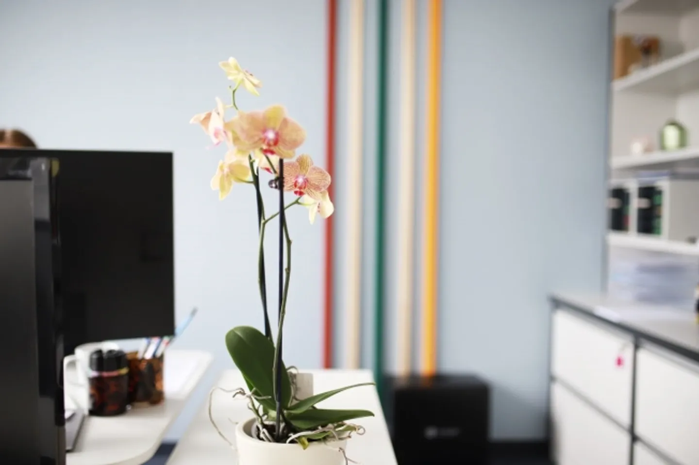 «Office» - Foto 1 von 5