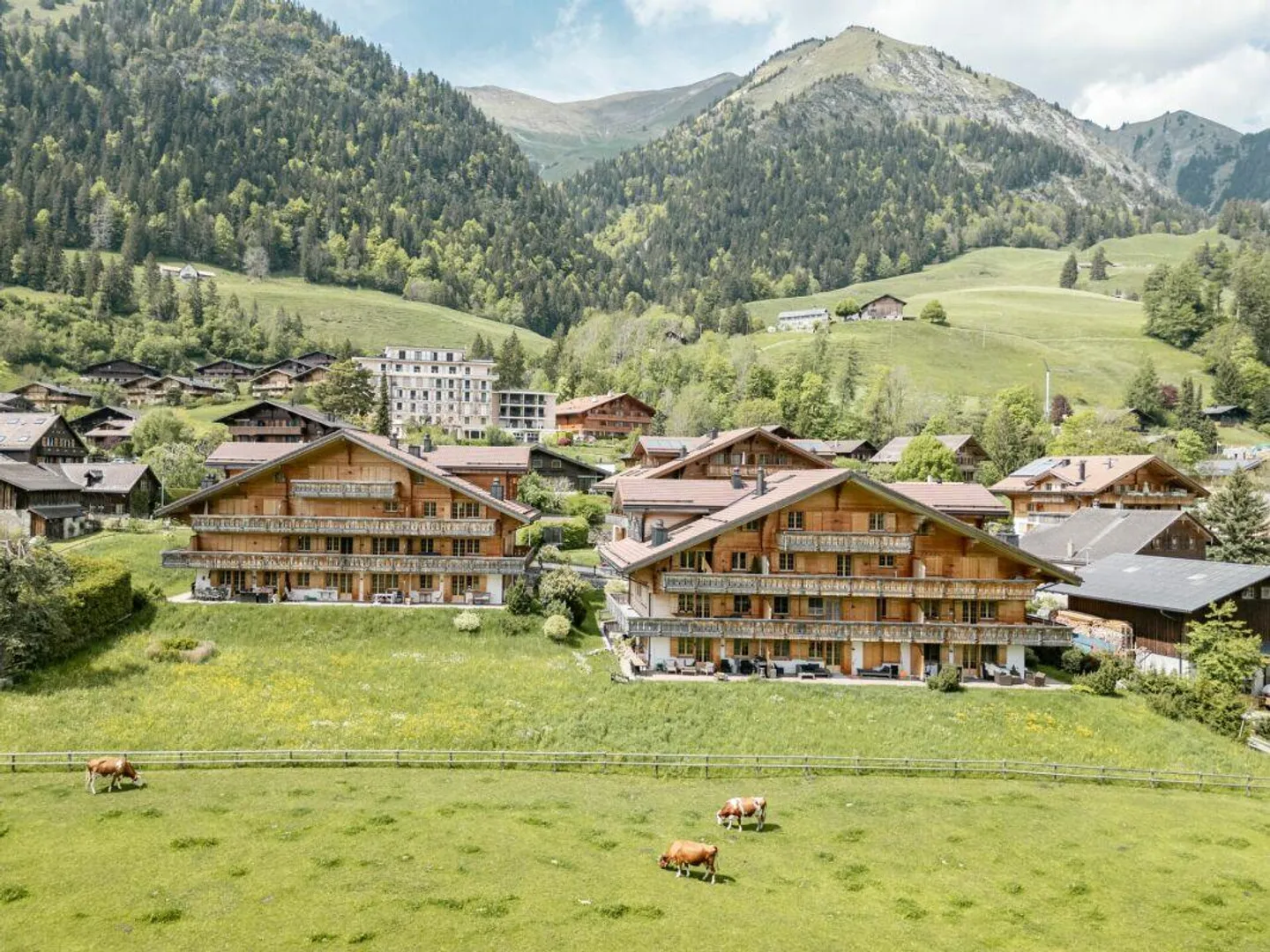 Helle 4,5-Zimmer-Wohnung in Château-d'Oex - Foto 1 von 15