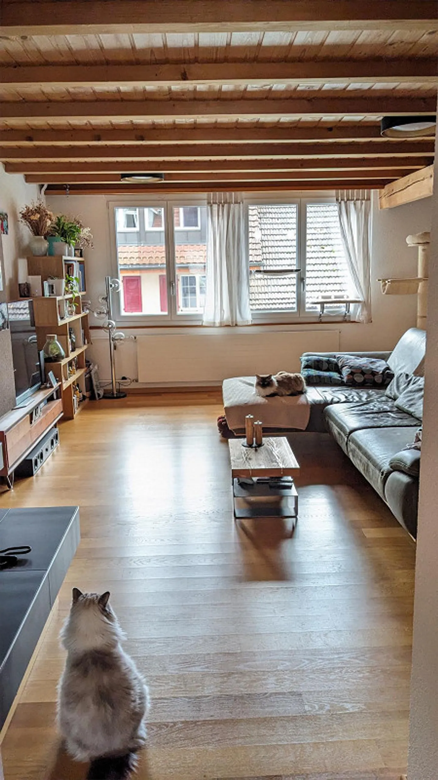 Appartamento spazioso di 3 1/2 stanze in campagna - Foto 2 di 7