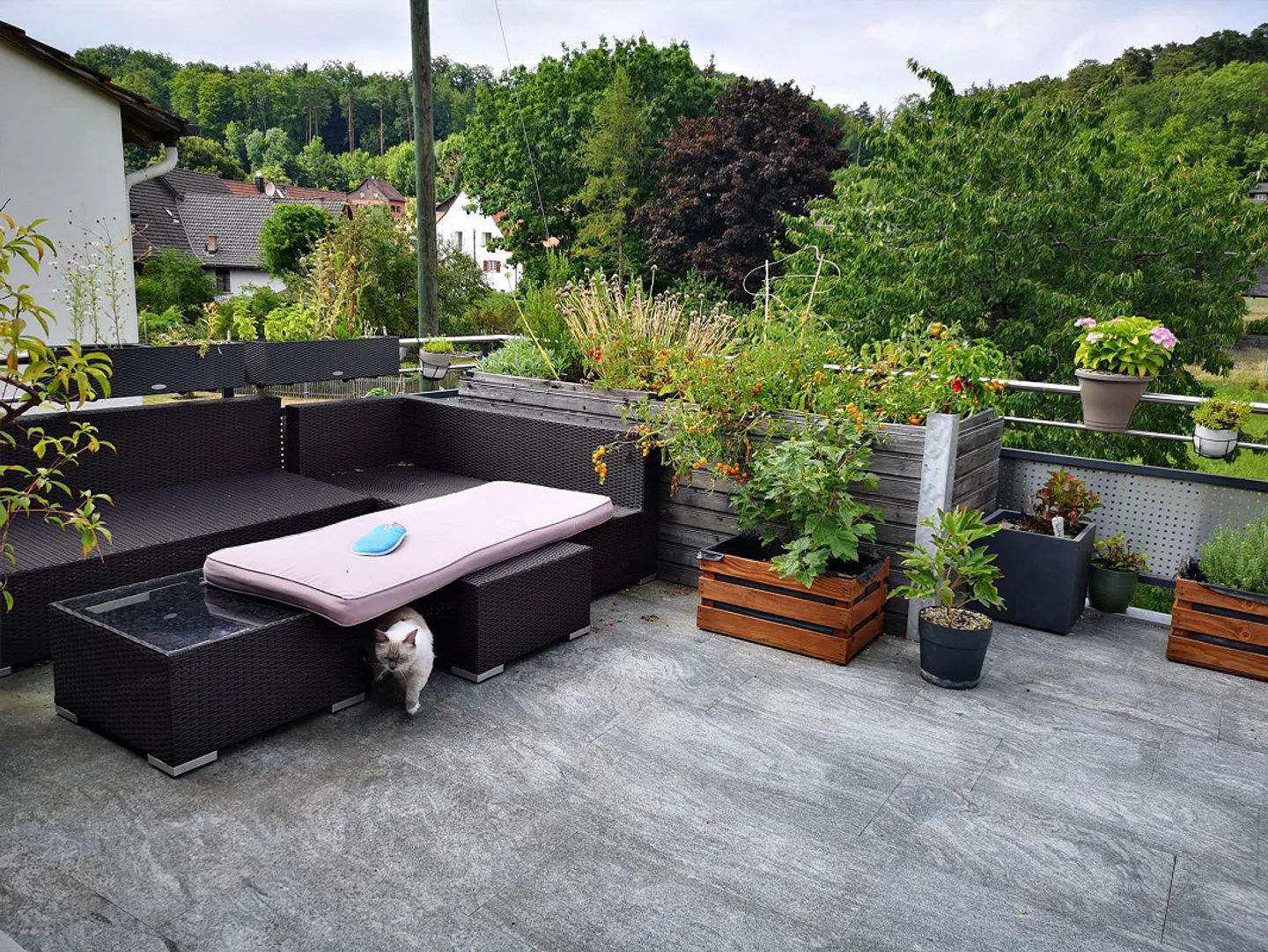 Appartamento spazioso di 3 1/2 stanze in campagna - Foto 4 di 7