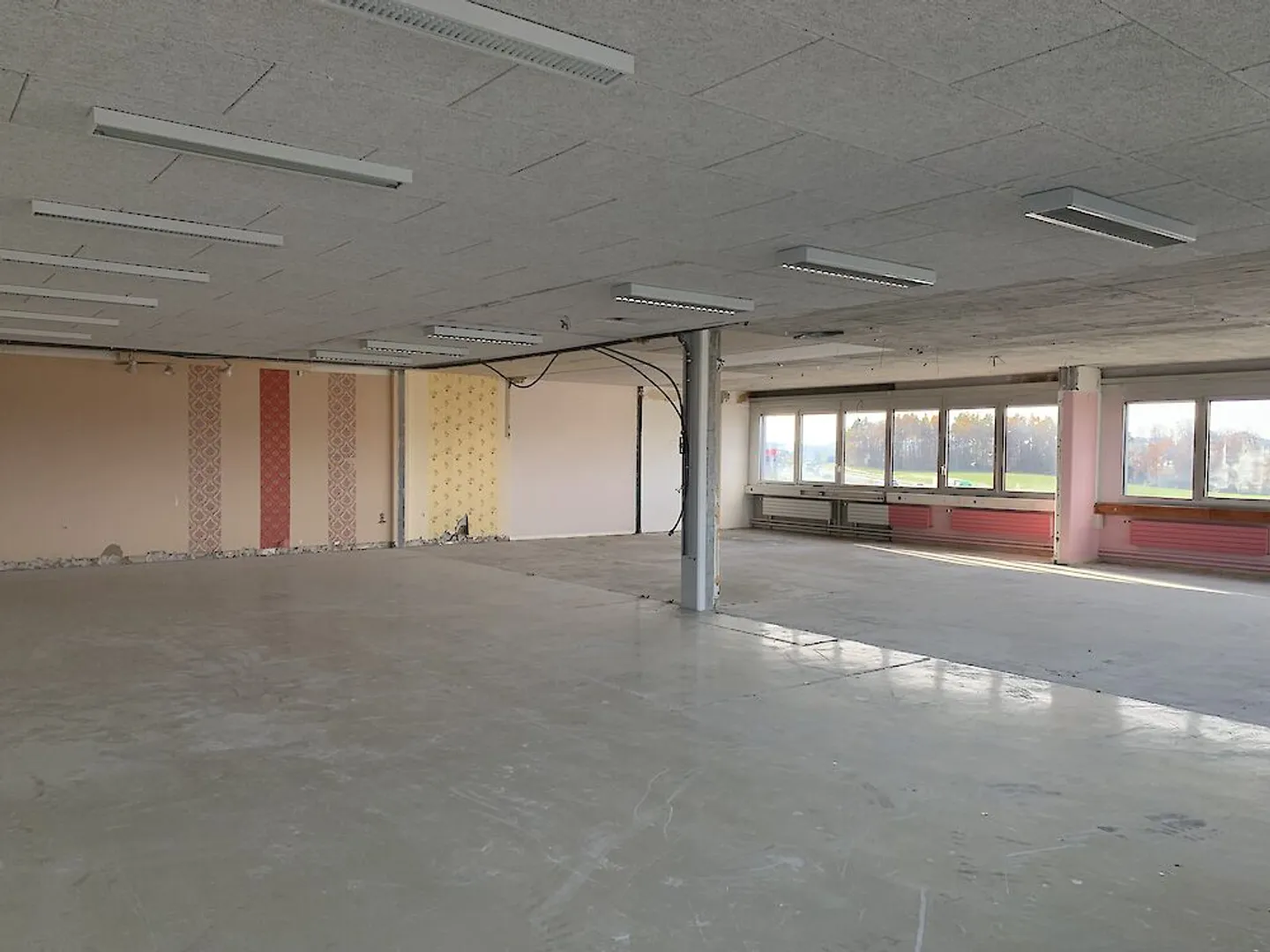 Locali spaziosi e luminosi in Waprpelstrasse a Düdingen - Foto 10 di 13