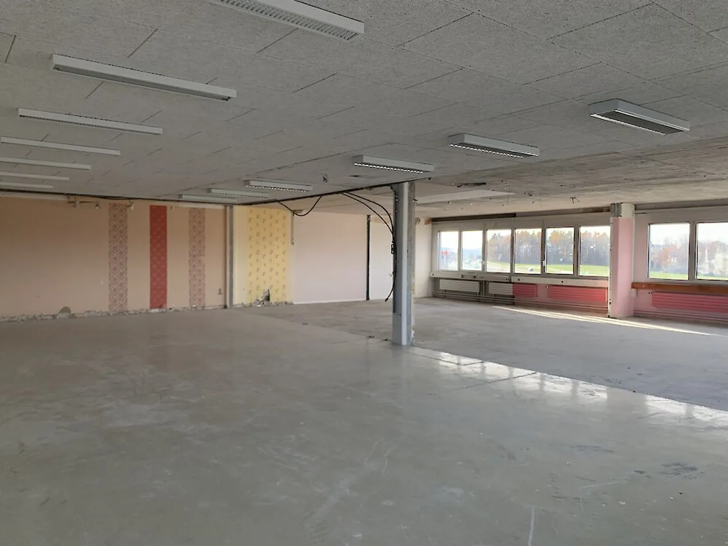 Locali spaziosi e luminosi in Waprpelstrasse a Düdingen - Foto 11 di 13