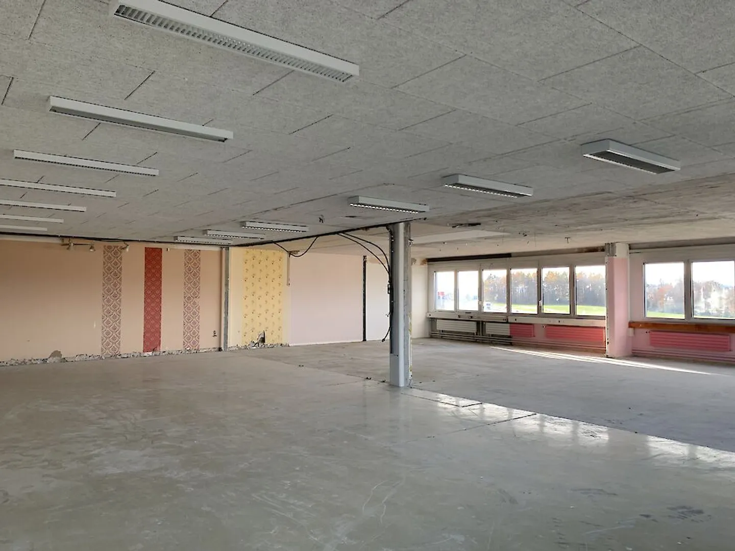 Locali spaziosi e luminosi in Waprpelstrasse a Düdingen - Foto 12 di 13