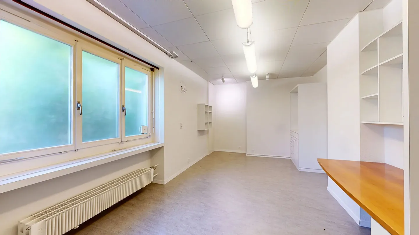 Manor House with Medical Practice and Swimming Pool in a Preferred Location - Photo 22 of 29