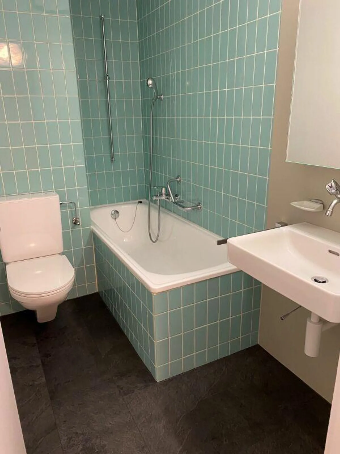 Apartment in Steinhölzli-Weissenbühl Quarter - Photo 6 of 7