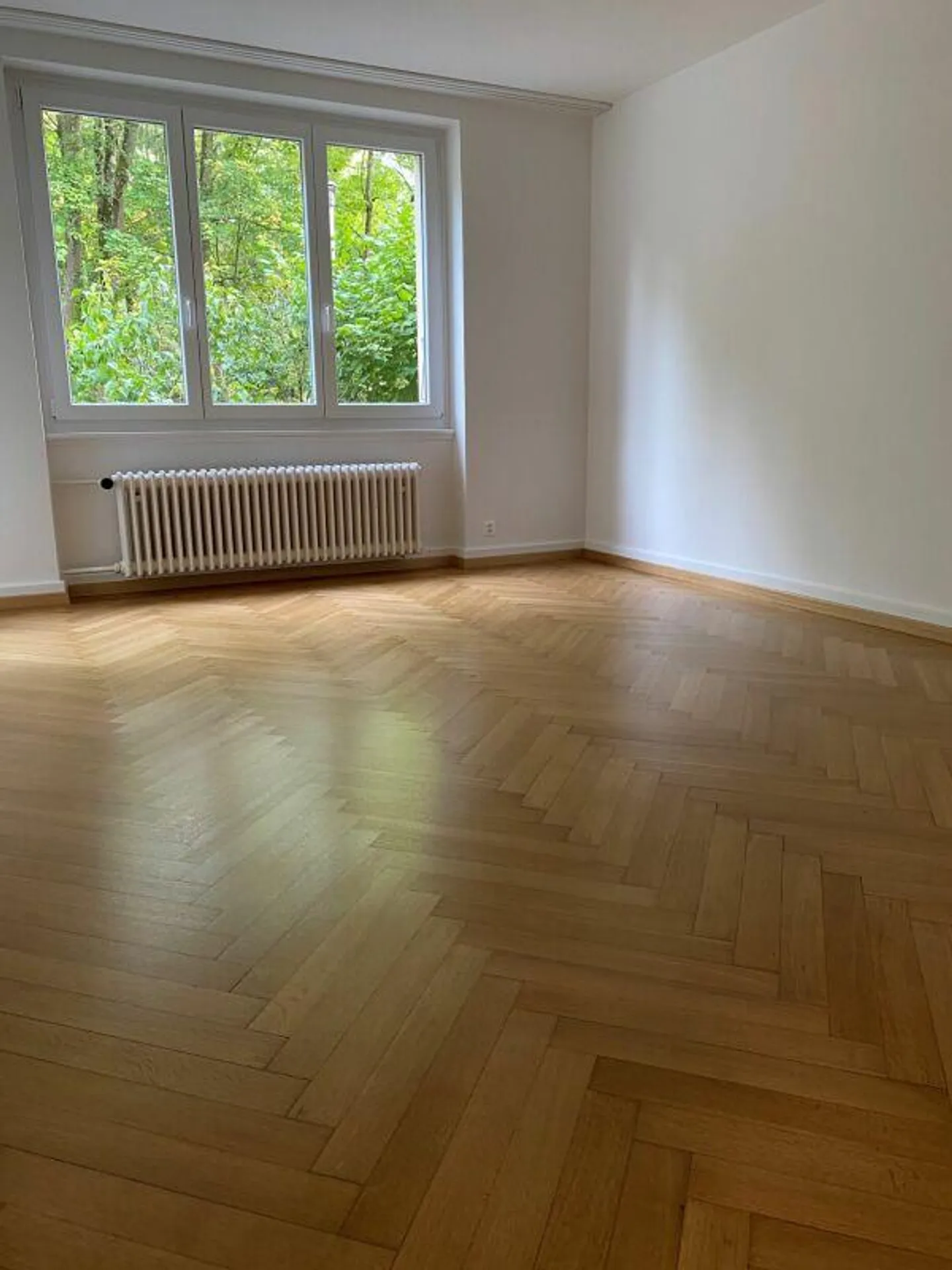 Apartment in Steinhölzli-Weissenbühl Quarter - Photo 2 of 7