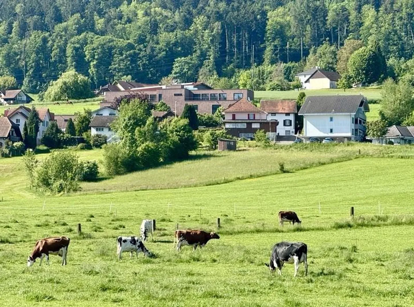 Retirement home or private clinic or hotel property or yield... - Photo 25 of 36