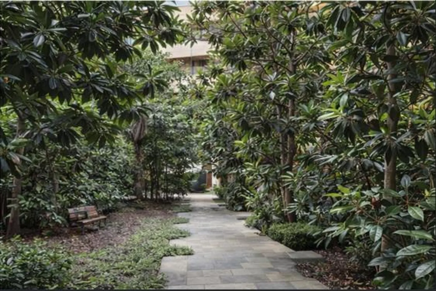 Luxuswohnung in CityBay Luzern - Foto 4 von 4