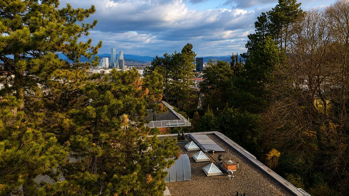 Appartement penthouse exclusif avec terrasses entourantes et vue panoramique sur Bâle - Photo 3 sur 11