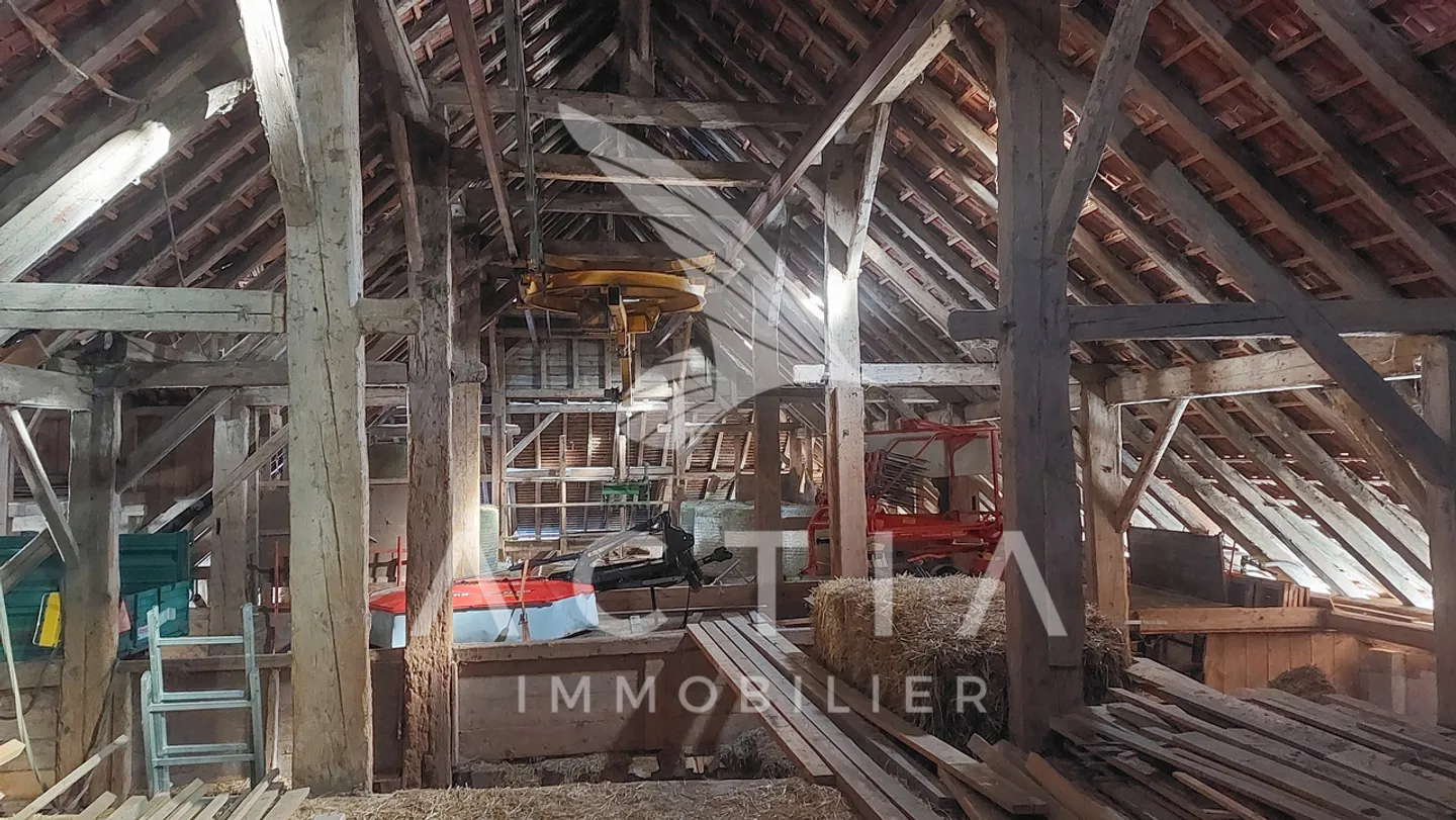 Sfruttamento agricolo - Foto 3 di 13