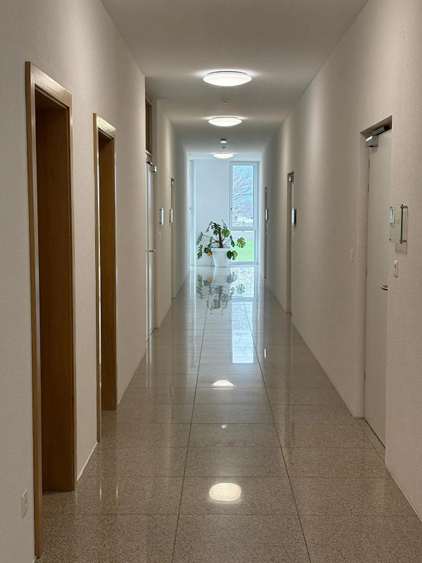 Noble Office - Photo 9 of 9