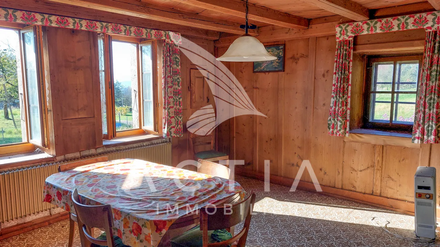 Sfruttamento agricolo - Foto 5 di 13