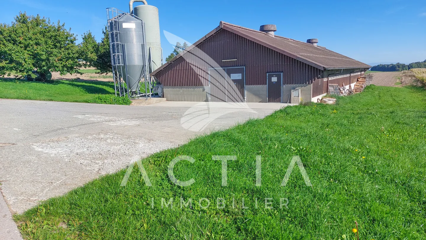 Sfruttamento agricolo - Foto 7 di 13