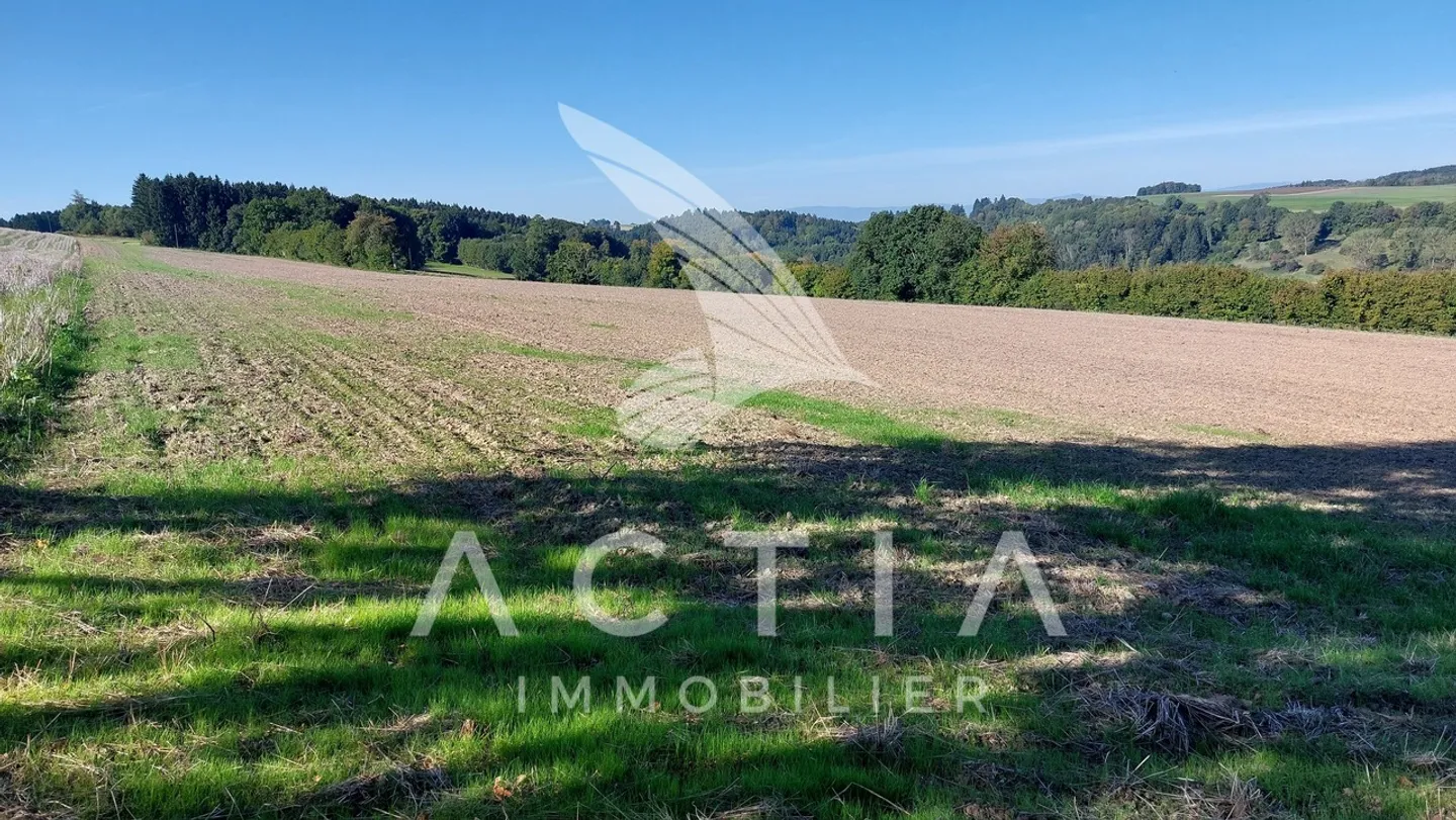 Sfruttamento agricolo - Foto 13 di 13