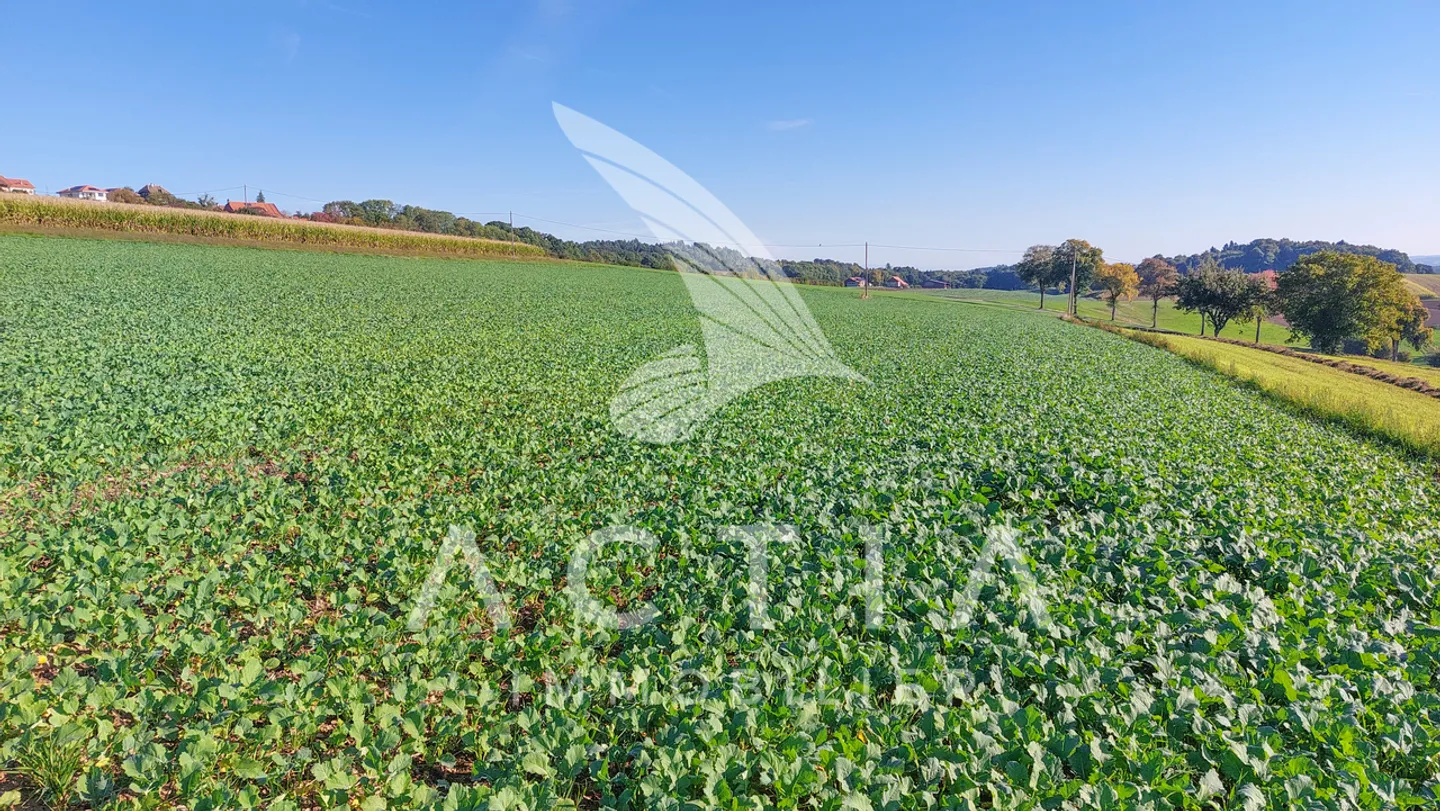 Sfruttamento agricolo - Foto 12 di 13