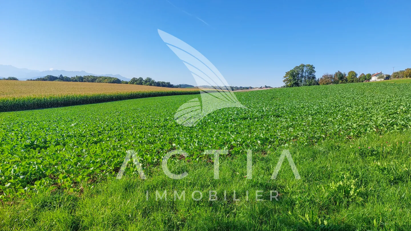 Sfruttamento agricolo - Foto 10 di 13