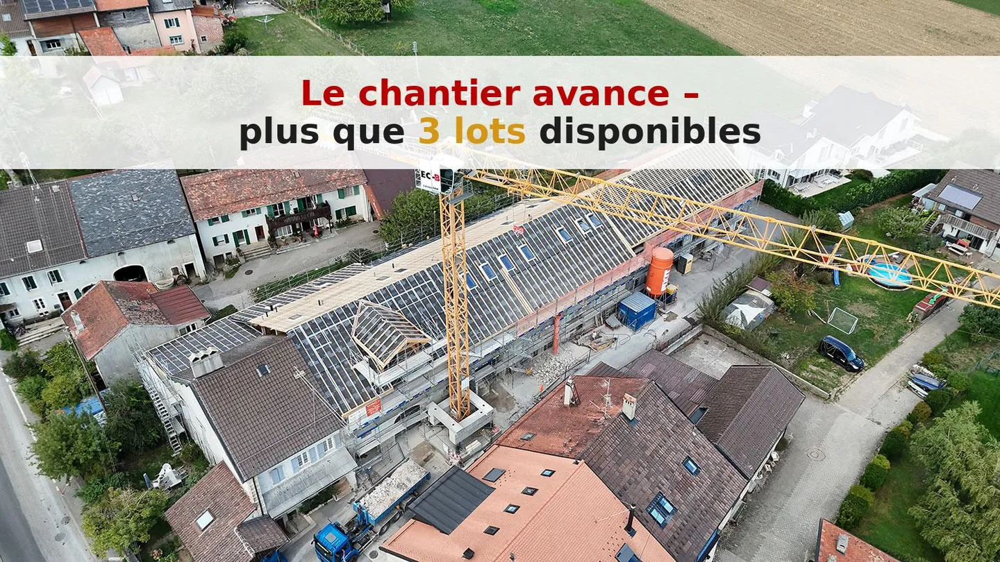 Appartement Duplex avec Terrasses - Photo 3 sur 7