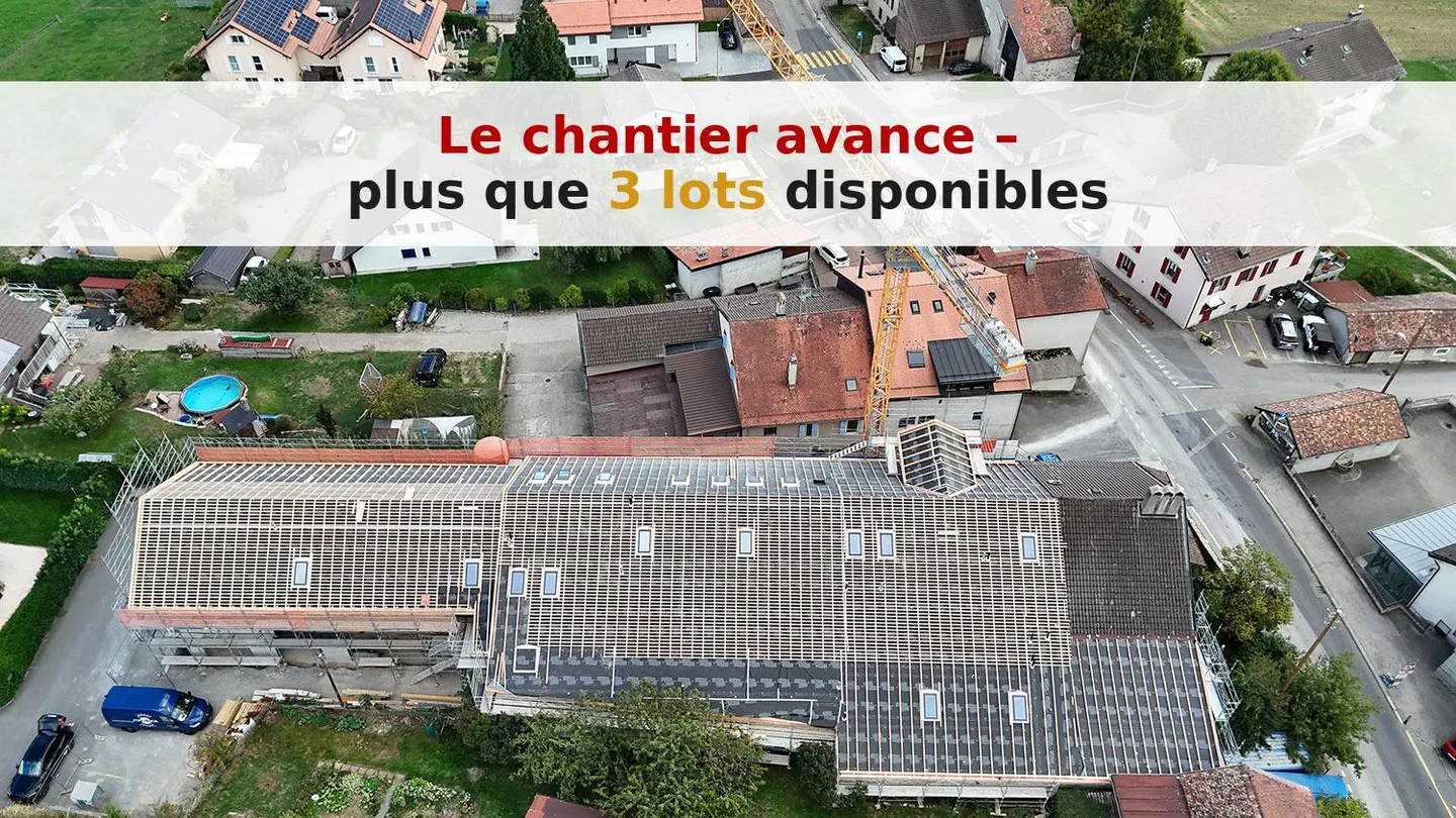 Appartement Duplex avec Terrasses - Photo 7 sur 7