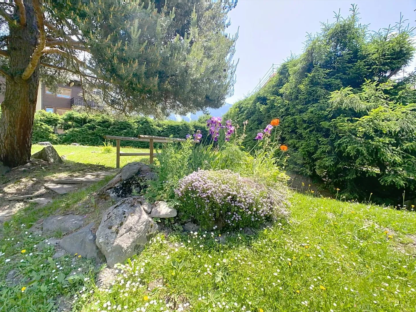 Primo piano con giardino, ristrutturato e pronto per essere abitato! - Foto 12 di 12