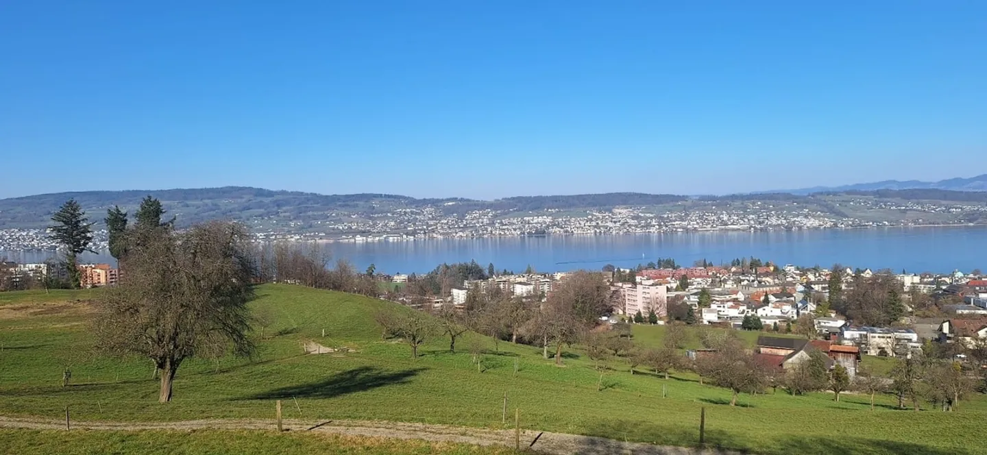 Grosszügige Gartenwohnung mit modernem Komfort und Minergie Plus Standard in Wädenswil - Foto 11 von 12