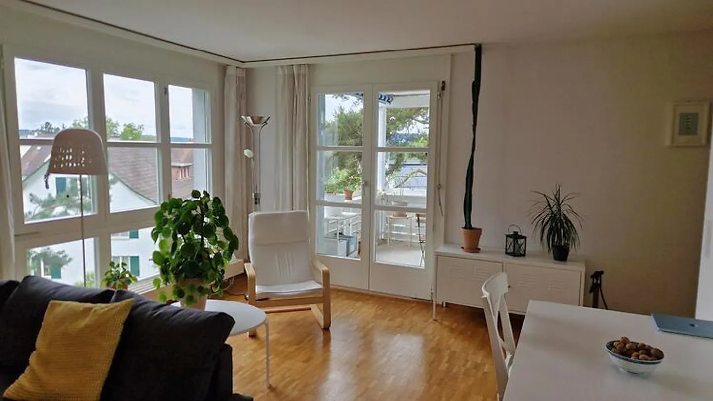 APPARTEMENT 2½ PIÈCES À ZURICH - DISTRICT 10 RÜTIHOF, MEUBLÉ, TEMPORAIRE - Photo 3 sur 8