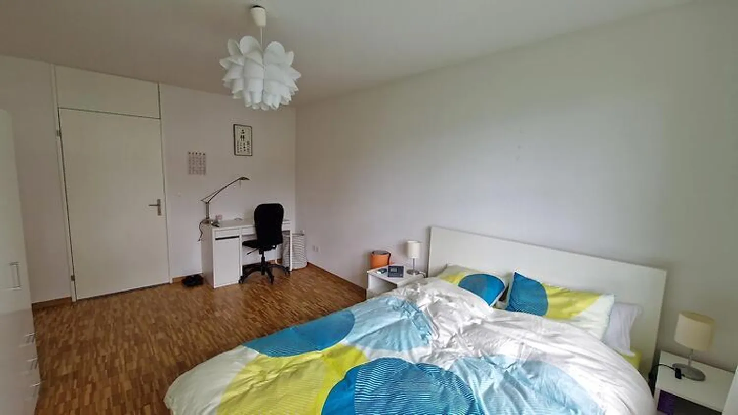 APPARTEMENT 2½ PIÈCES À ZURICH - DISTRICT 10 RÜTIHOF, MEUBLÉ, TEMPORAIRE - Photo 6 sur 8