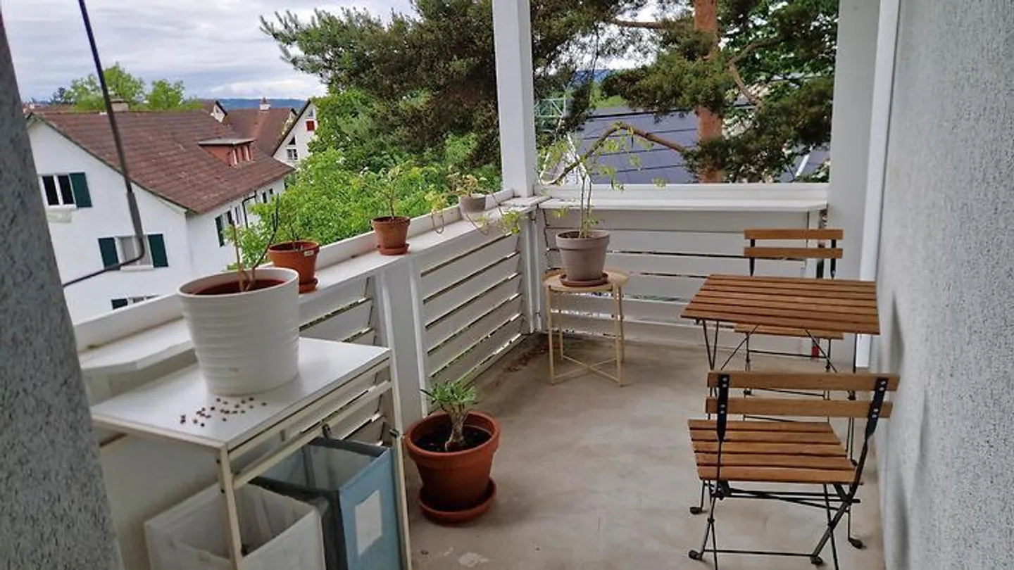 APPARTEMENT 2½ PIÈCES À ZURICH - DISTRICT 10 RÜTIHOF, MEUBLÉ, TEMPORAIRE - Photo 8 sur 8